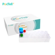 PARVO B19 PCR komplet